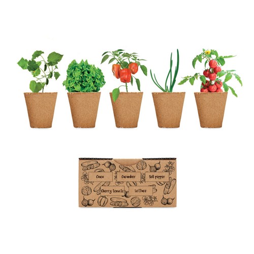 SALAD Kit de culture salade