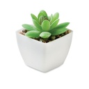 ARTIGRAP Mini plante artificielle