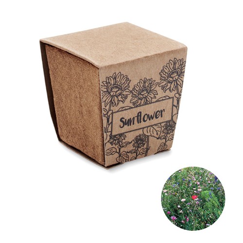 SUNFLOWER KIT Kit de tournesol