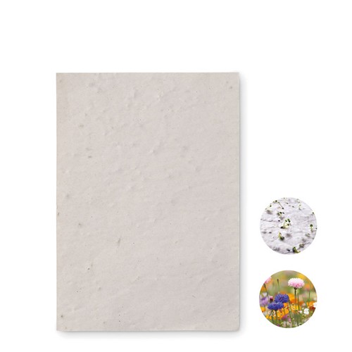 ASIDO Papier A6 graines de fleurs