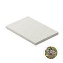 SEED BOOK Carnet A5 couv. papier semence