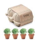 CRESS Kit de culture cresson