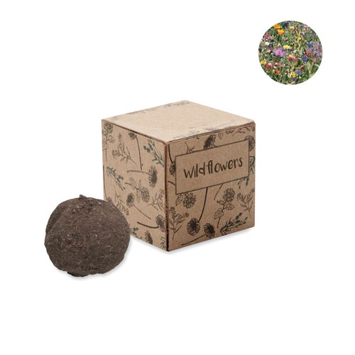 BOMBI Boule graines de fleurs sauvage