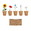 FLOWERS Kit de culture fleurs