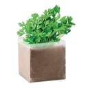 PARSELY Substrat avec graines Persil