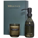 Distributeur de savon pour les mains de 250 ml et ensemble de bougies parfumées de 150 g Wellmark Discovery- parfum linge fra